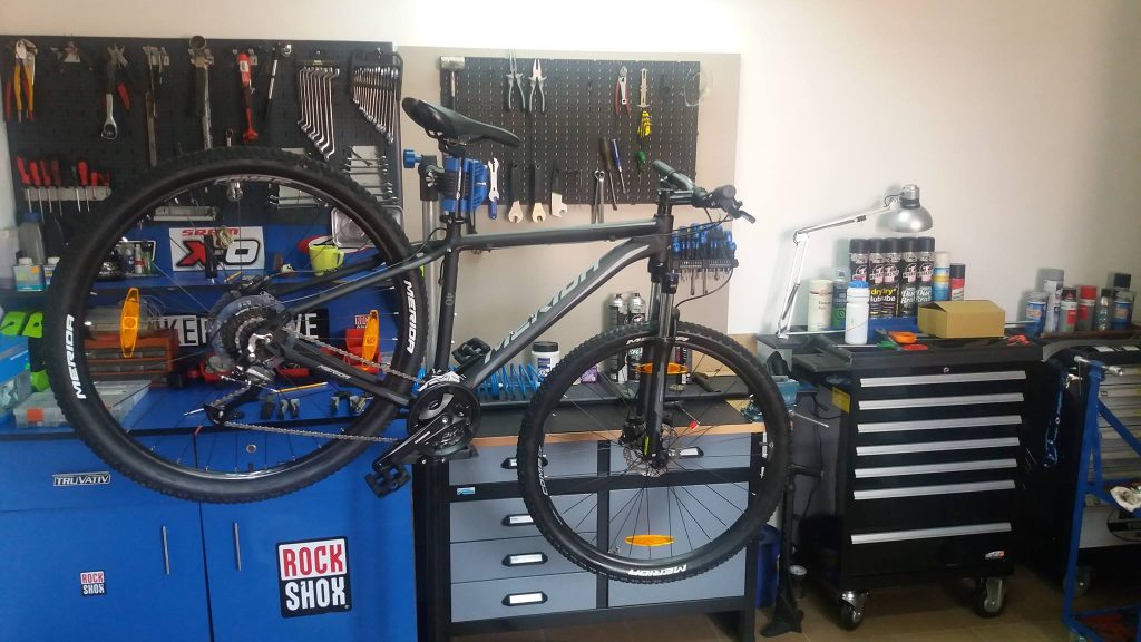 485799137 1780981105791645 6662832675528829238 n